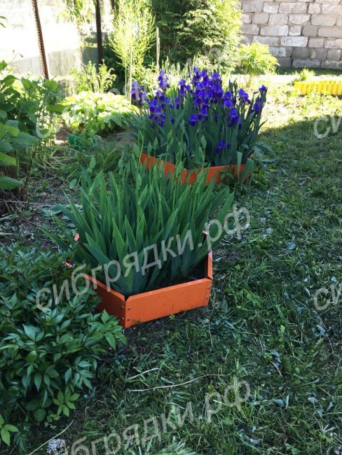 Клумба "Сота" 400 в Самаре